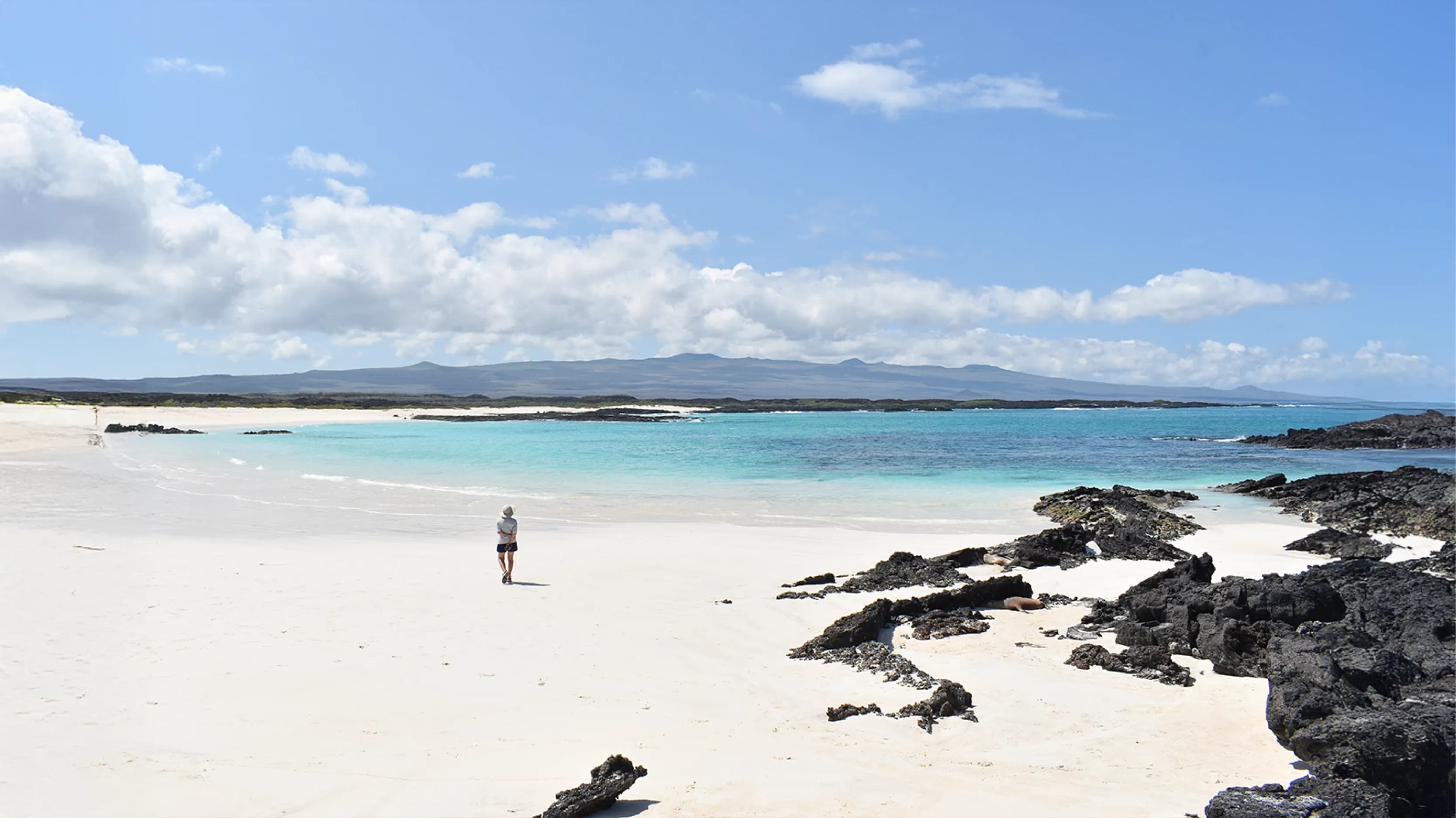Galapagos Wildlife Banner
