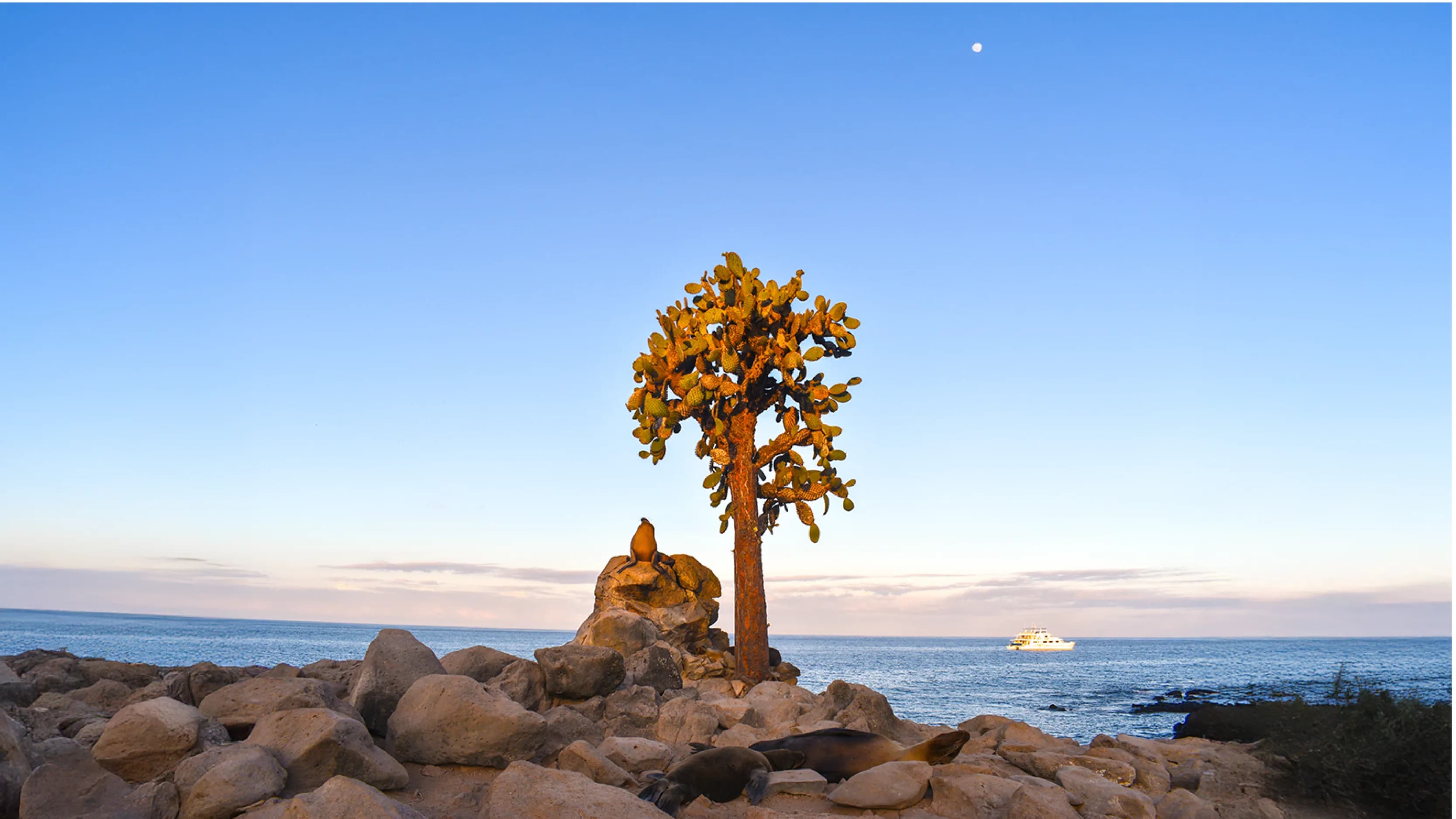 Beautiful Galapagos landscape and shore