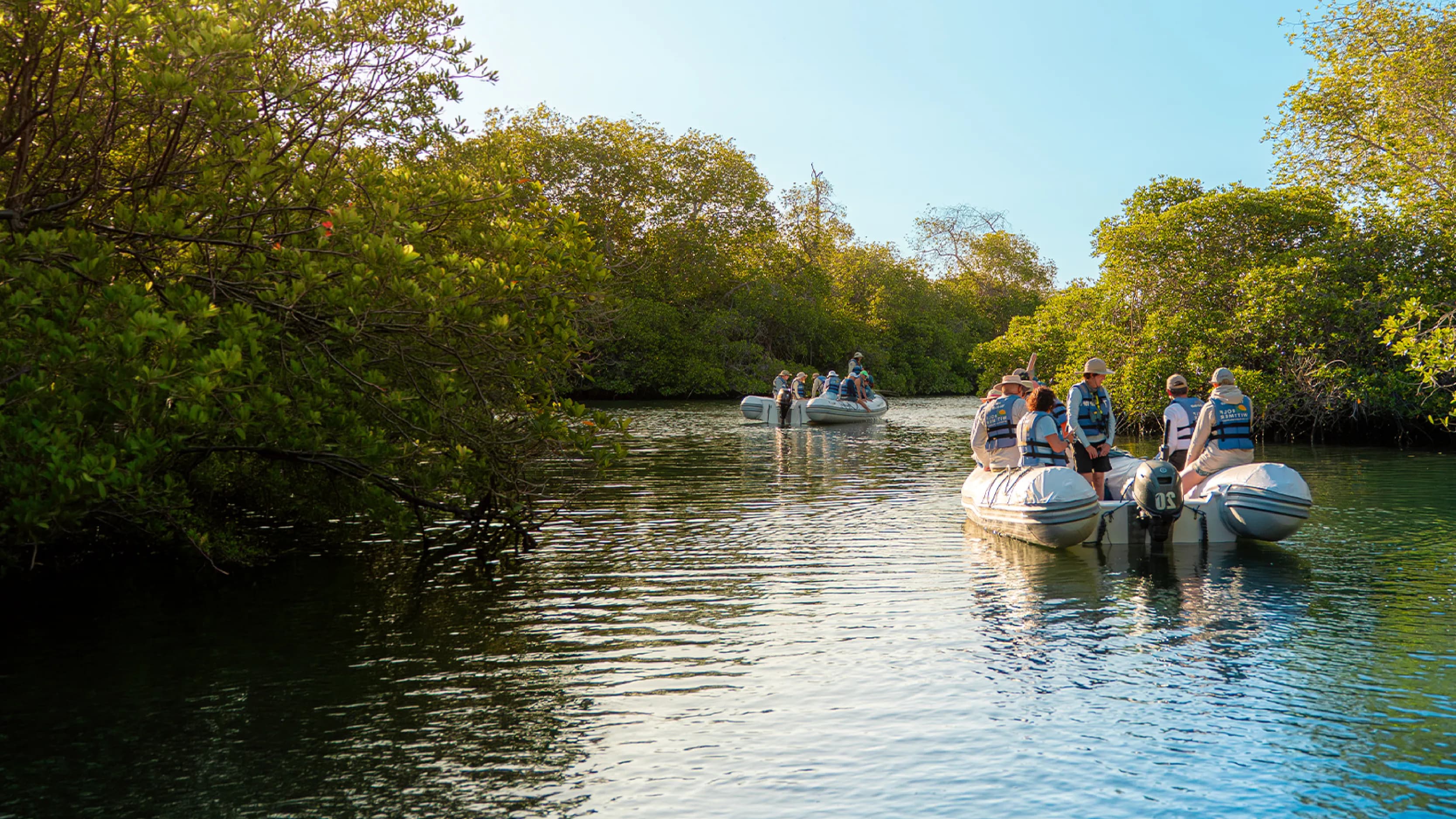 Galapagos Travel Blog & Cruise Guides